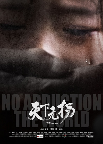 天下无拐的海报-正式海报 中国大陆
