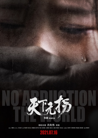 天下无拐的海报-正式海报 中国大陆