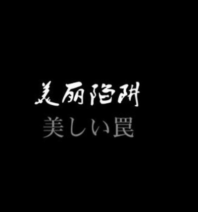 美丽陷阱的海报-正式海报