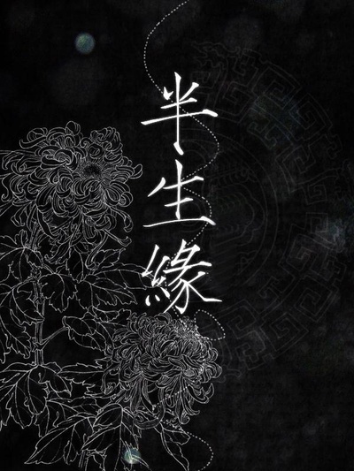 情深缘起的海报-正式海报