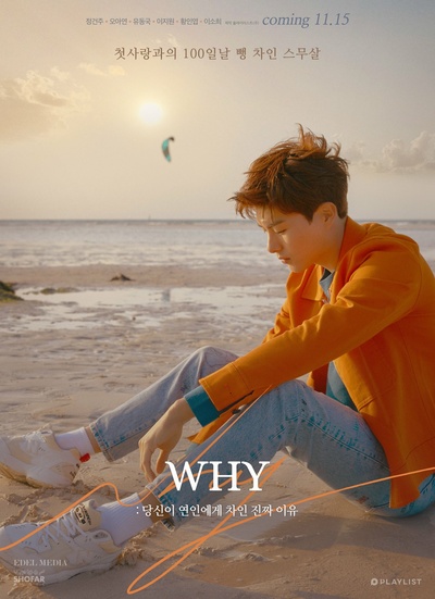 WHY：你被恋人甩的真正理由的海报-角色海报