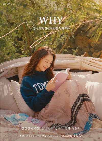 WHY：你被恋人甩的真正理由的海报-角色海报