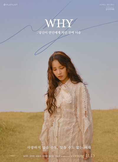 WHY：你被恋人甩的真正理由的海报-角色海报
