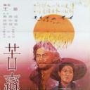 苦恋