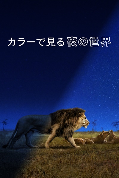 夜色中的地球的海报-预告海报 日本