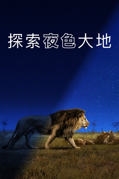 夜色中的地球的海报-其他海报