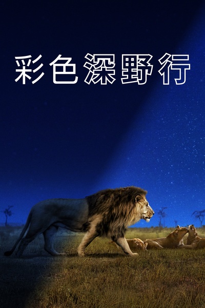 夜色中的地球的海报-其他海报