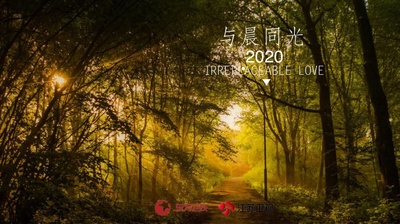 与晨同光的海报-正式海报 中国大陆