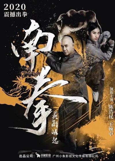 南拳之英雄崛起的海报-正式海报
