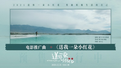 送你一朵小红花的海报-其他海报 中国大陆