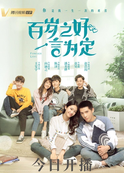 百岁之好，一言为定的海报-正式海报