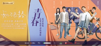 我的不惑青春的海报-预告海报 中国大陆