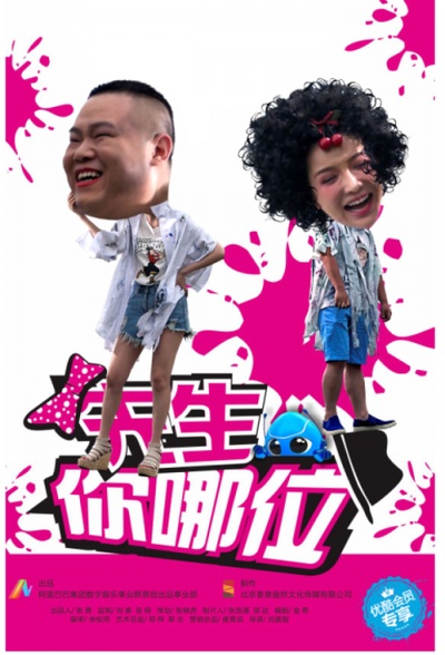 先生，你哪位的海报-正式海报 中国大陆