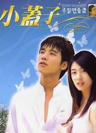 小盖子的海报-正式海报