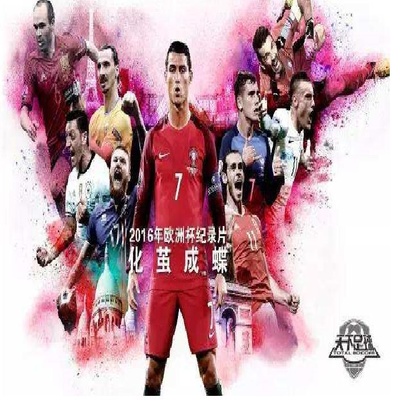 化茧成蝶：2016年欧洲杯纪录片的海报-正式海报