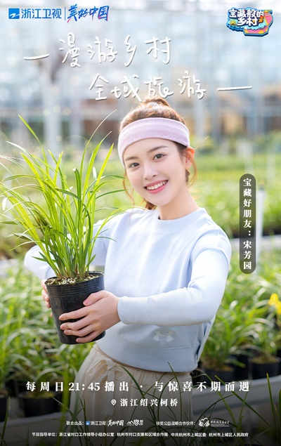 宝藏般的乡村的海报-角色海报 中国大陆