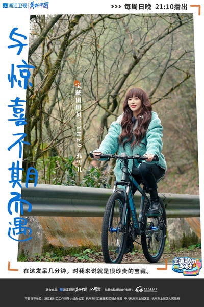 宝藏般的乡村的海报-角色海报 中国大陆