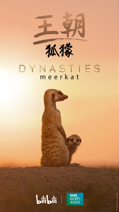 王朝：狐獴特辑的海报-正式海报 中国大陆