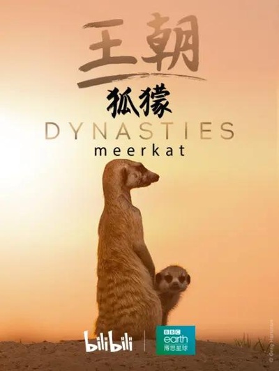 王朝：狐獴特辑的海报-正式海报