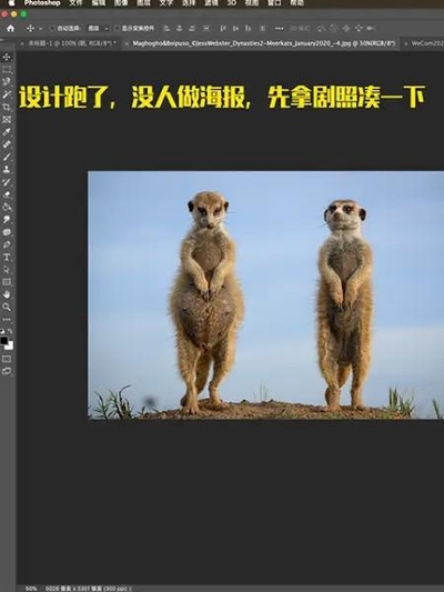 王朝：狐獴特辑的海报-正式海报