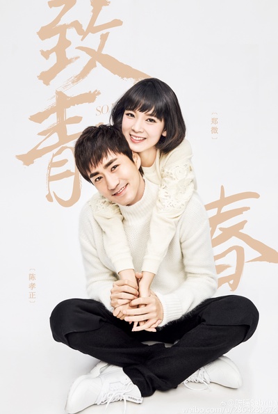 致青春的海报-角色海报