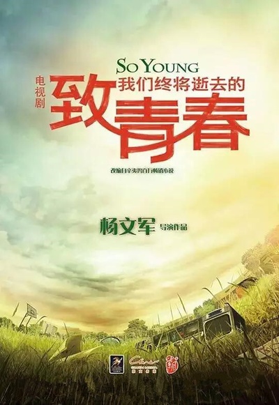 致青春的海报-预告海报