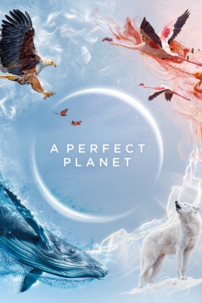 完美星球的海报-预告海报 英国