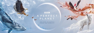 完美星球的海报-正式海报 英国