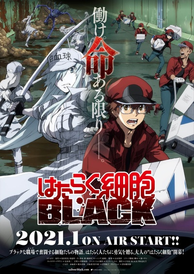 工作细胞black的海报-预告海报