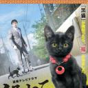 黑猫露西