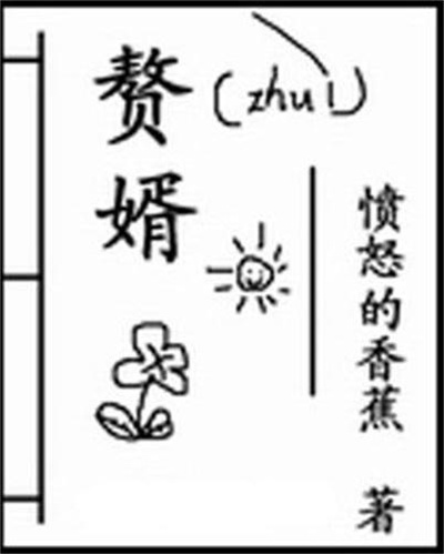 赘婿的海报-正式海报