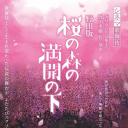 歌舞伎野田版樱之森盛开之下