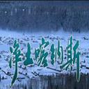 净土喀纳斯