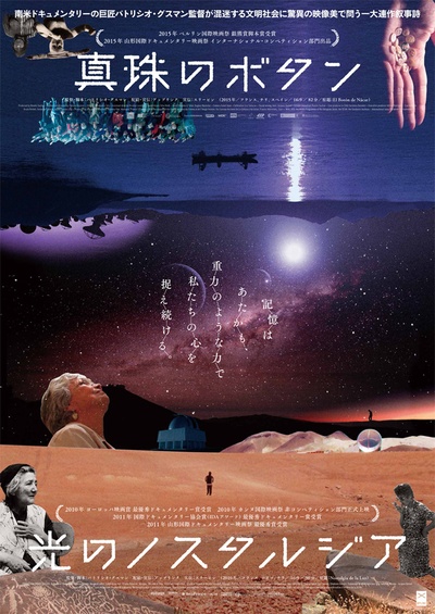 珍珠纽扣的海报-正式海报 日本