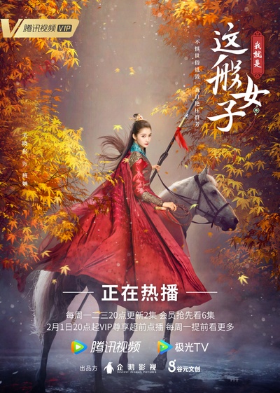 我就是这般女子的海报-角色海报