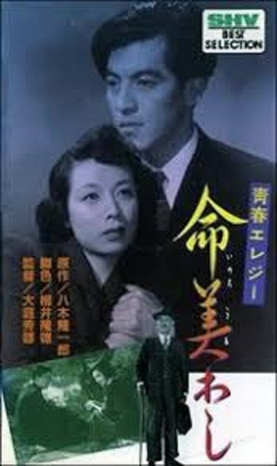命美わし的海报-正式海报