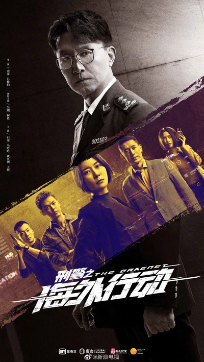 刑警之海外行动的海报-正式海报