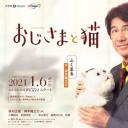 大叔与猫