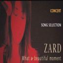 ZARD2004年日本巡回演唱会