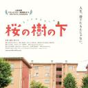 桜の樹の下