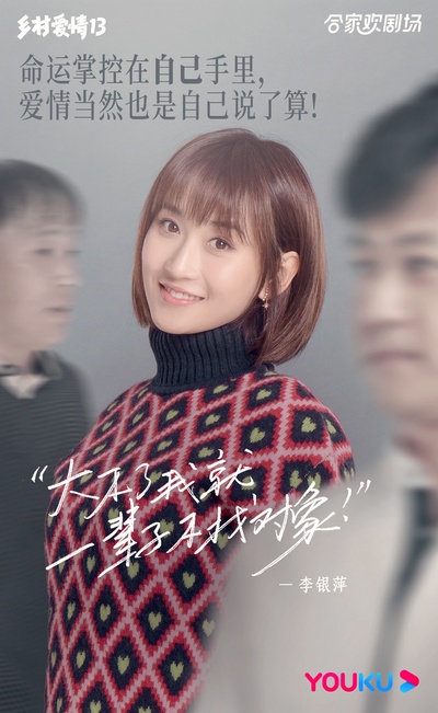 乡村爱情13的海报-其他海报