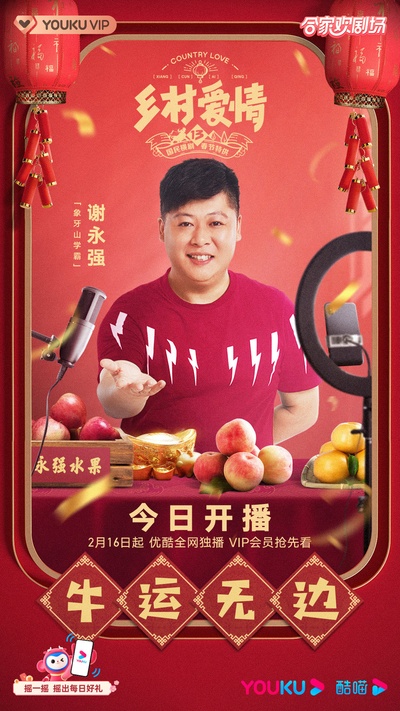 乡村爱情13的海报-其他海报