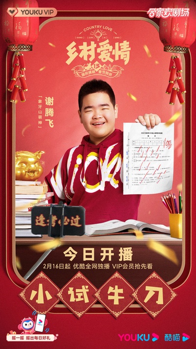 乡村爱情13的海报-其他海报
