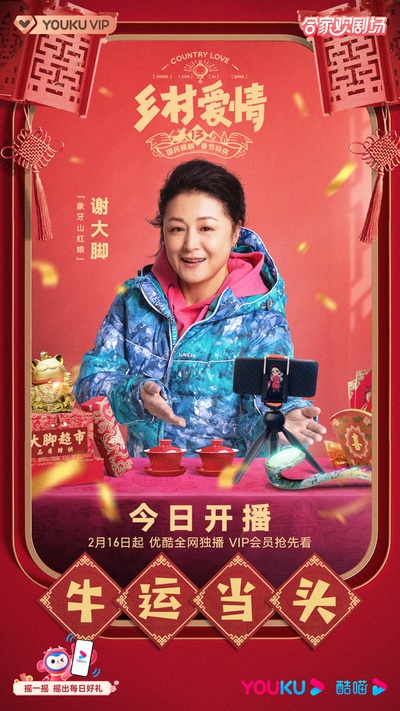 乡村爱情13的海报-其他海报