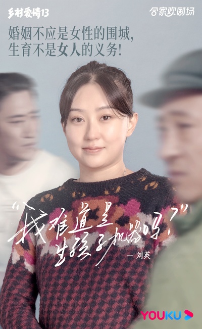 乡村爱情13的海报-其他海报