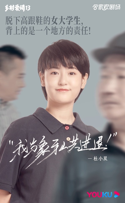 乡村爱情13的海报-其他海报