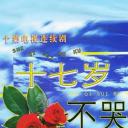 十七岁不哭