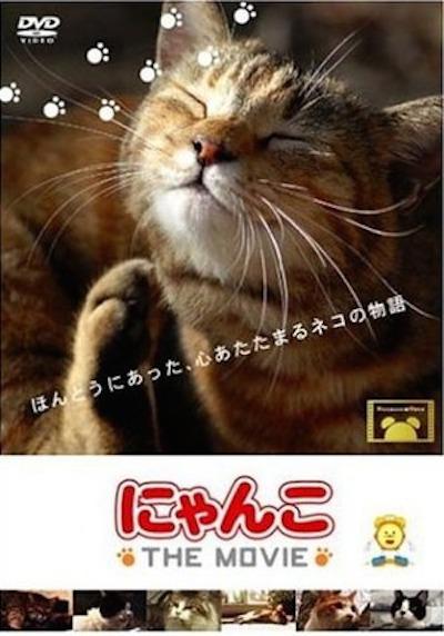 猫咪物语的海报-正式海报