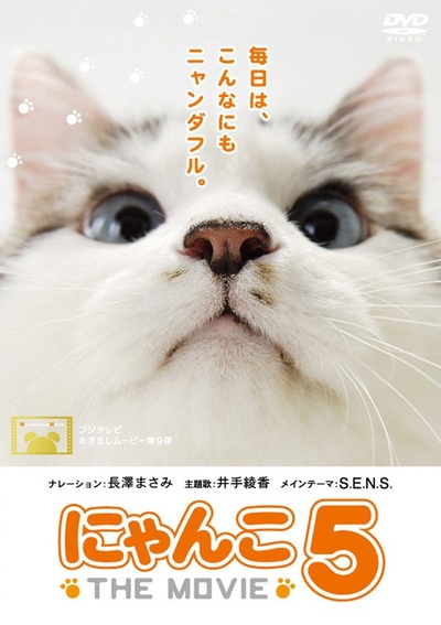猫咪物语5的海报-正式海报