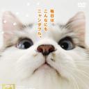 猫咪物语5